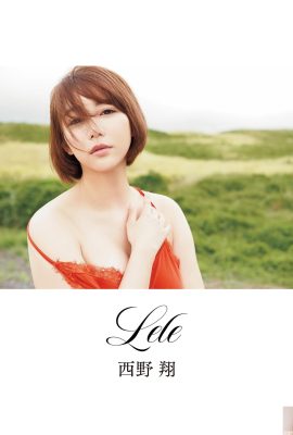 [西野翔] La déesse éternelle ! Elle a une silhouette extrêmement séduisante qui donne le vertige au premier regard (29P)