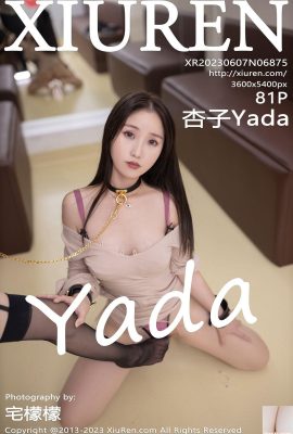 (XiuRen) 20230607 VOL.6875 Kyoko Yada photo version complète (81P)