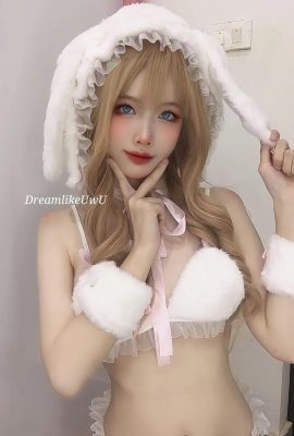 DreamlikeUwU – Lapin Blanc (59P)