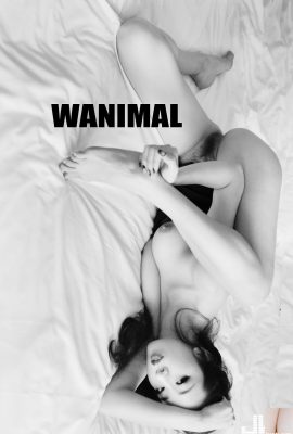 WANIMAL Janvier 2018 Travaux du Nouvel An (41P)