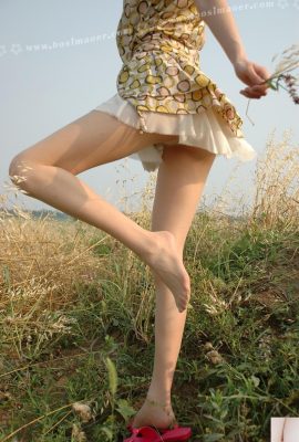 (Chat persan) Armoire VIP avec de belles jambes et bas, jupe à fleurs jaunes et sandales rouges (104P)