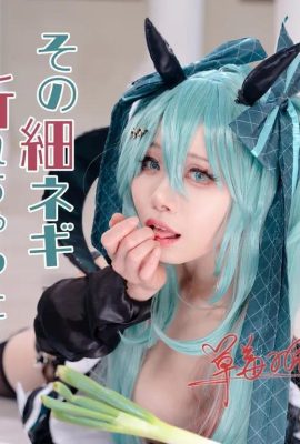 Hatsune Miku : Est-ce que ce mince oignon vert s'est cassé ?