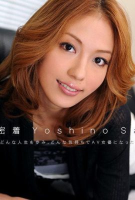 Sally Yoshino «CV nu n ° 9 (13P)»