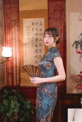 Belles jambes en soie en cheongsam