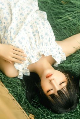 Anime – Boîte à bois stupide (18p)