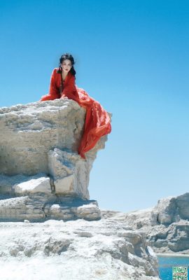 La douceur et la solitude coexistent symbiotiquement dans les petites coquilles, s’il vous plaît n’abandonnez pas (18p)