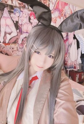 (Stupide) Mai Sakurajima Mai (27p)
