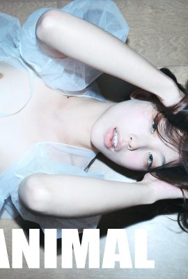 (Twitter Beauty) @ Lilymunster01 (80p)