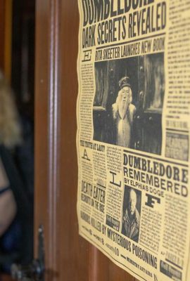(Suicide Girls) 29 mai 2025 – Babybi – Thestrals (41p)