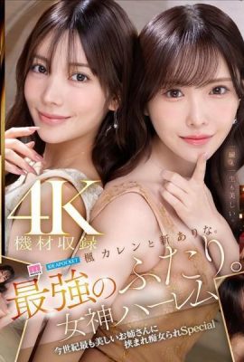 Kaede Karen et Shin Arina. Les deux les plus forts. Déesse harem la plus belle dame du siècle