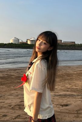 Qui peut résister à la figure étonnante de « Zhiyun »? (10p)