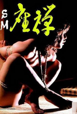 Chie Abe Porn Star dans Ura-Books Sm Zazen (38p)