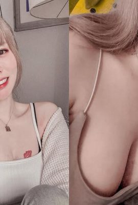 Hilarant! L’OL bas noir de Kaohsiung a été « attaqué par deux poules ». Les internautes ont ri : Ne perdez pas le poulet ! (11P)