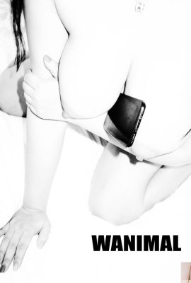 (Travail de Wang Dong) Wang Dong) Collection de photos WANIMAL Tumblr (105) (50P)